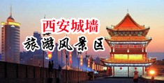 骚鸡巴干骚逼中国陕西-西安城墙旅游风景区